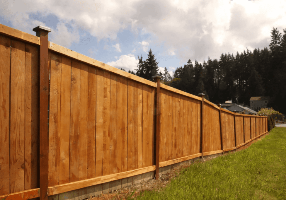 Sunlit wooden privacy fence beside green lawn