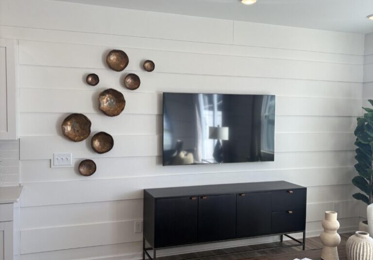 Shiplap living room with TV and brass discs